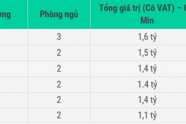 Phân Tích Đánh Giá Dự Án Căn Hộ Bcons Center City
